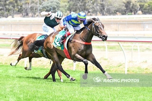 Salizou Wins On Debut