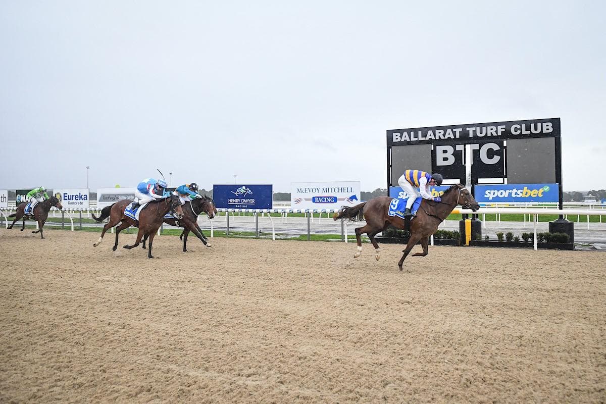 She's Ann Idea Wins On Debut