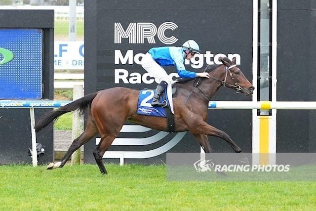 Savitri Secures 400th Winner for Mitch Freedman Racing