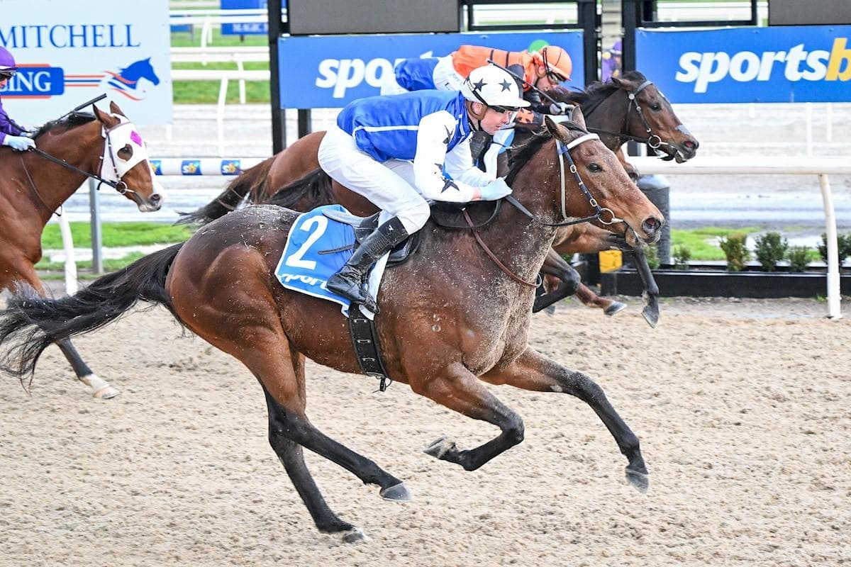 Jennyanydots' Vobis Bonus Delight