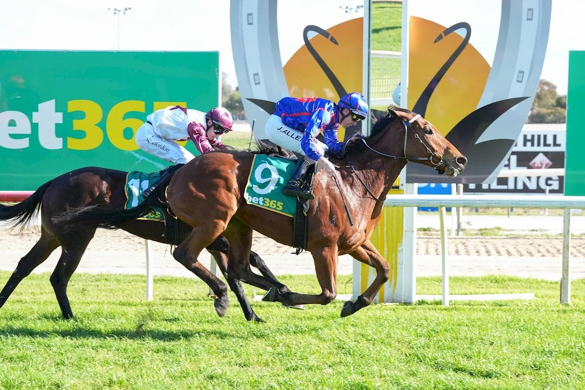 Stable Favourite Wazza Brings Up 50 Season Wins