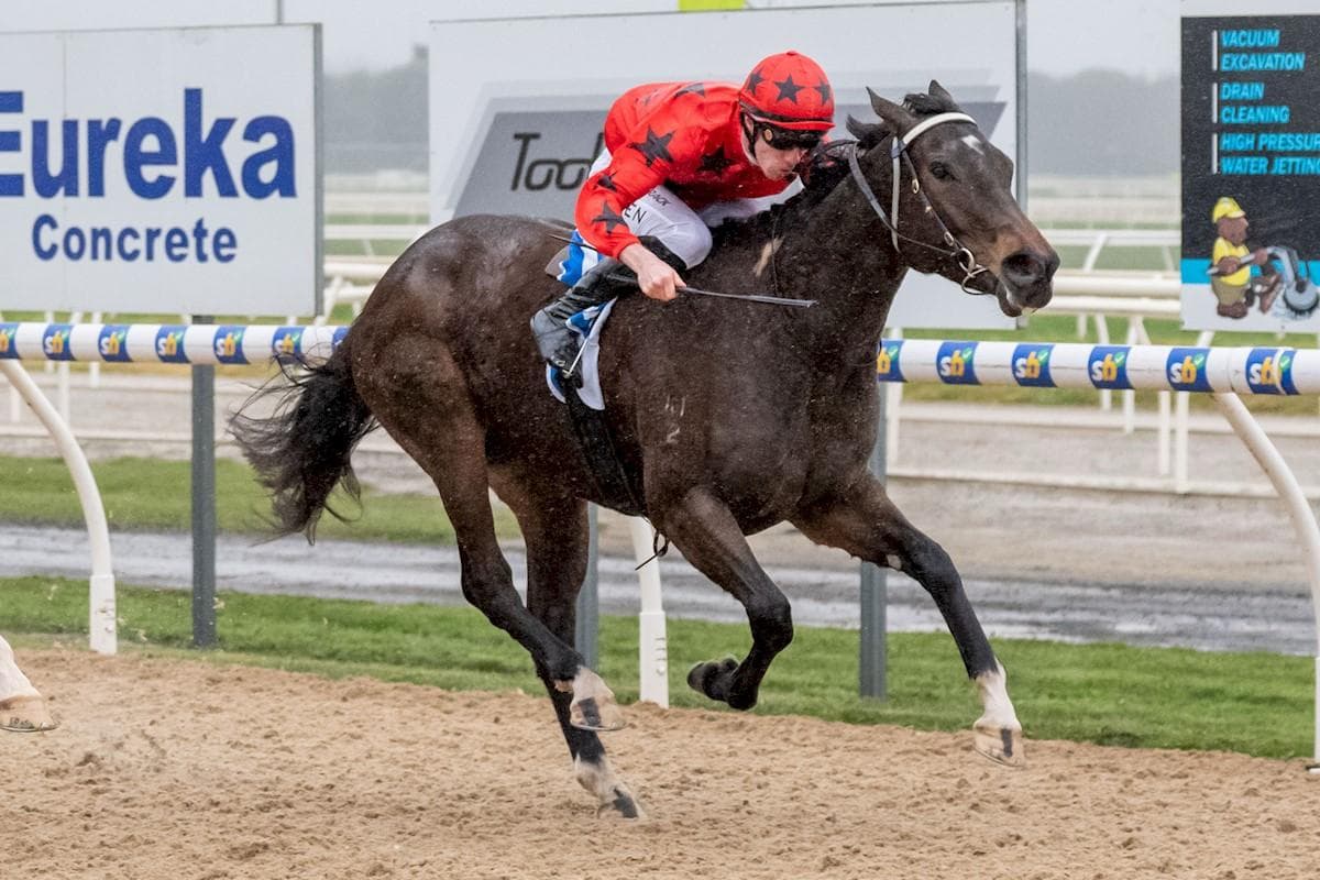 Two Wins From Three Starts For Salizou