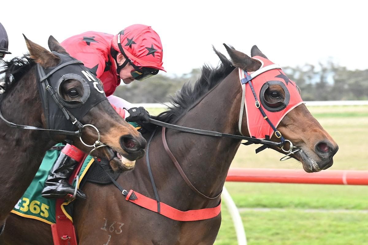 Adjudicate Too Strong At Donald