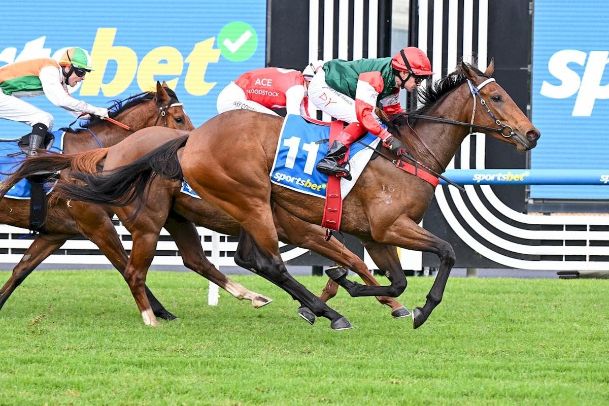 Farmelia Metropolitan Win On Debut