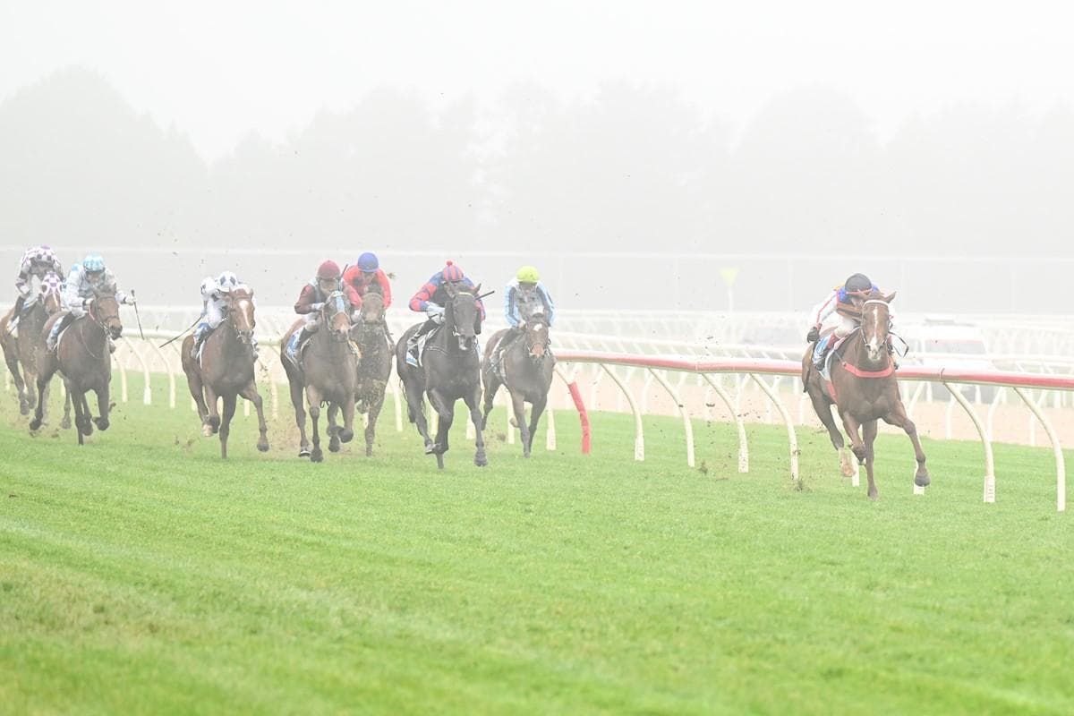 Gina's A Star Freedman's 40th Season Win