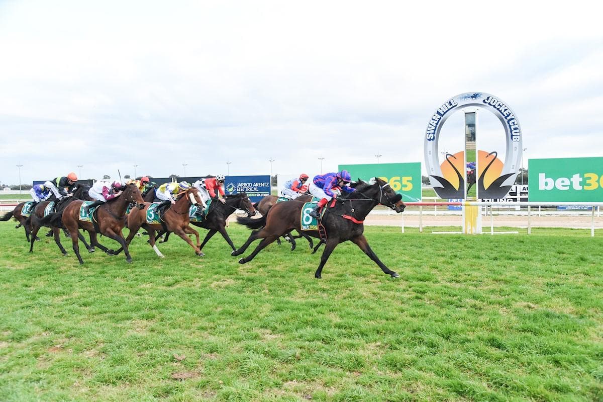 Four For Freedman with Sacramental's Swan Song