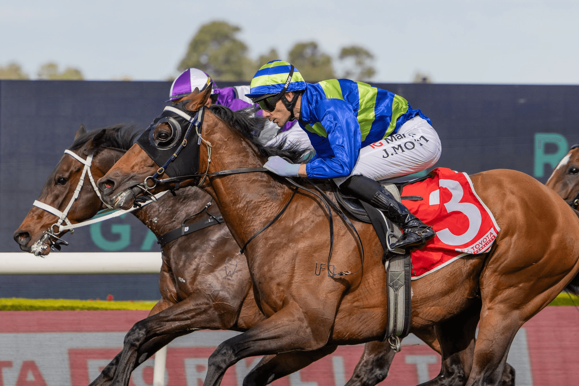 Attrition Reclaims the Hill Stakes in a thriller at Rosehill