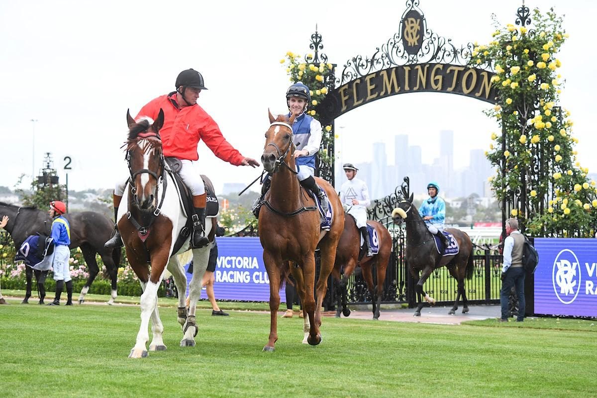 Gypsy Flemington.jpg