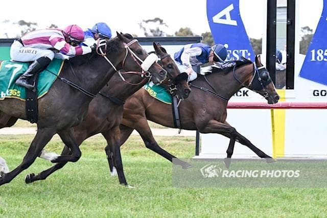 Switch Hit Continues Rise With Ararat Victory