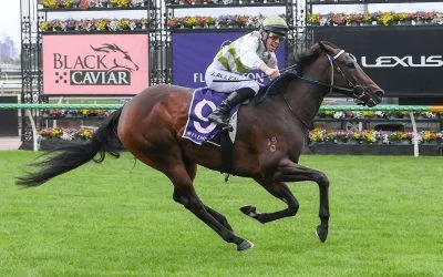 Straight shooting spring for Skybird