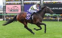 Straight shooting spring for Skybird