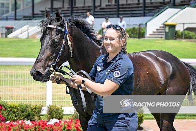 Sirleaf Arrives Just in Time