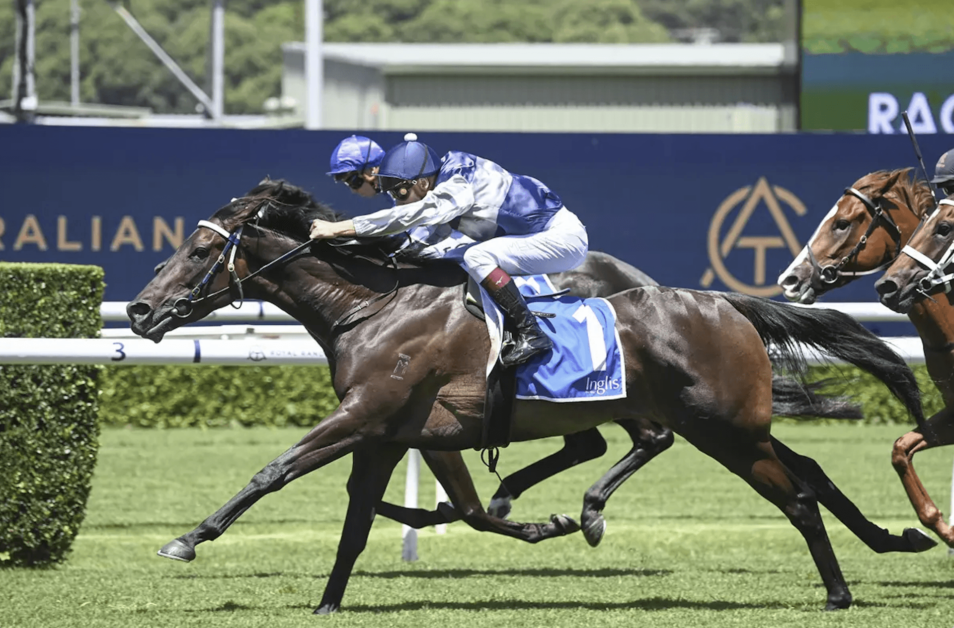 Screenshot 2025-12-16 at 12.18.44 pm.png