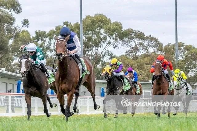 Yoomee Wonder Swan Hill Carnival Winner