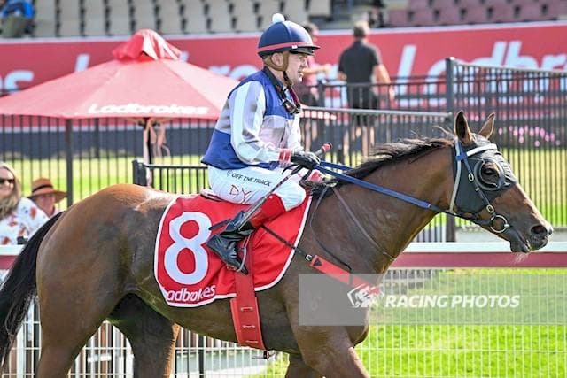 Seattle Hope Adds A Fourth Win