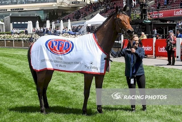 Crockett Stakes listed win @ Moonee Valley 26.10.19.JPG