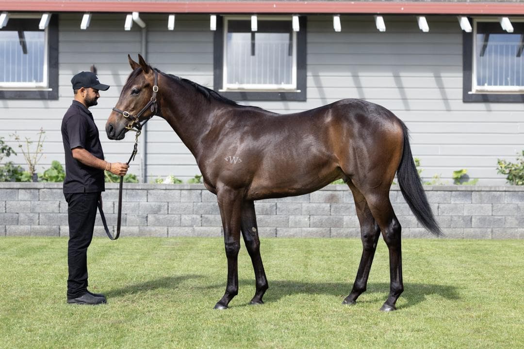 Hectopascal/Proisir '24