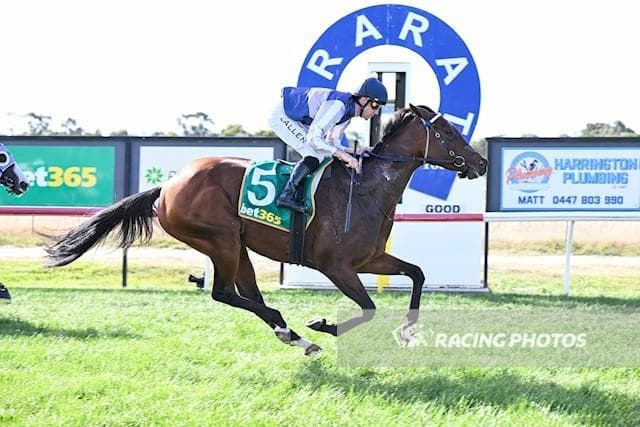 Yoomee Wonder Too Good at Ararat