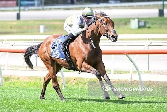 Skydream Soars to Maiden Breakthrough at Kilmore
