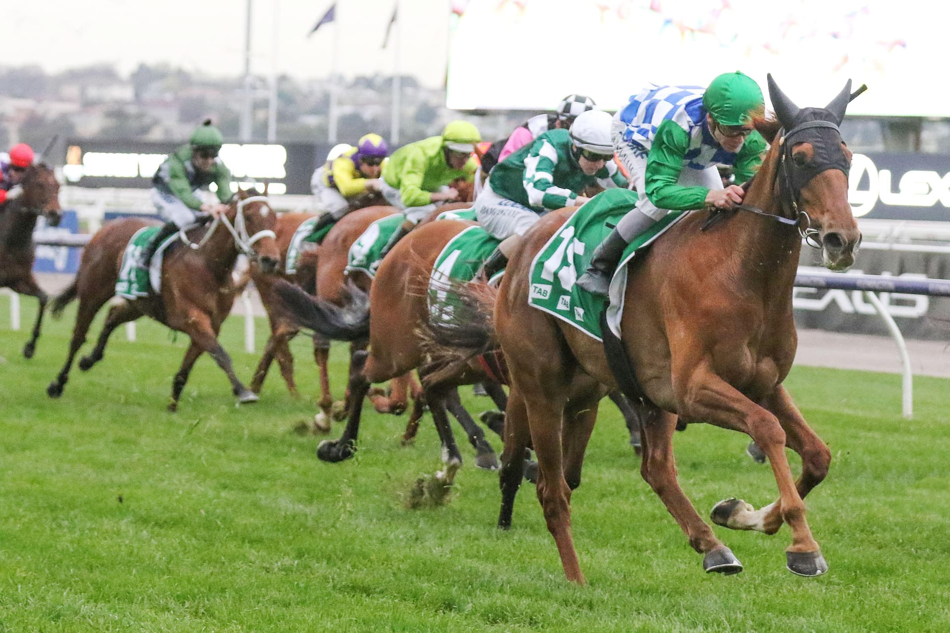 Moonlight-MaidEdward-Manifold-StakesGroup-2_05-10-2019_WIN_Flemington_9__1660.jpg