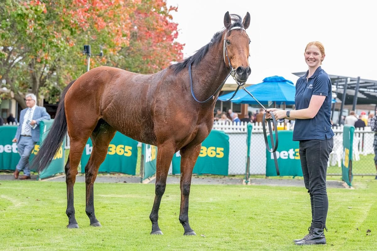 Wild Ruby's Well-deserved Win!