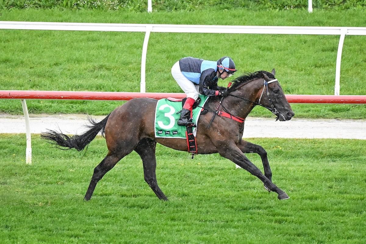 A Debut to remember for Pastoral King