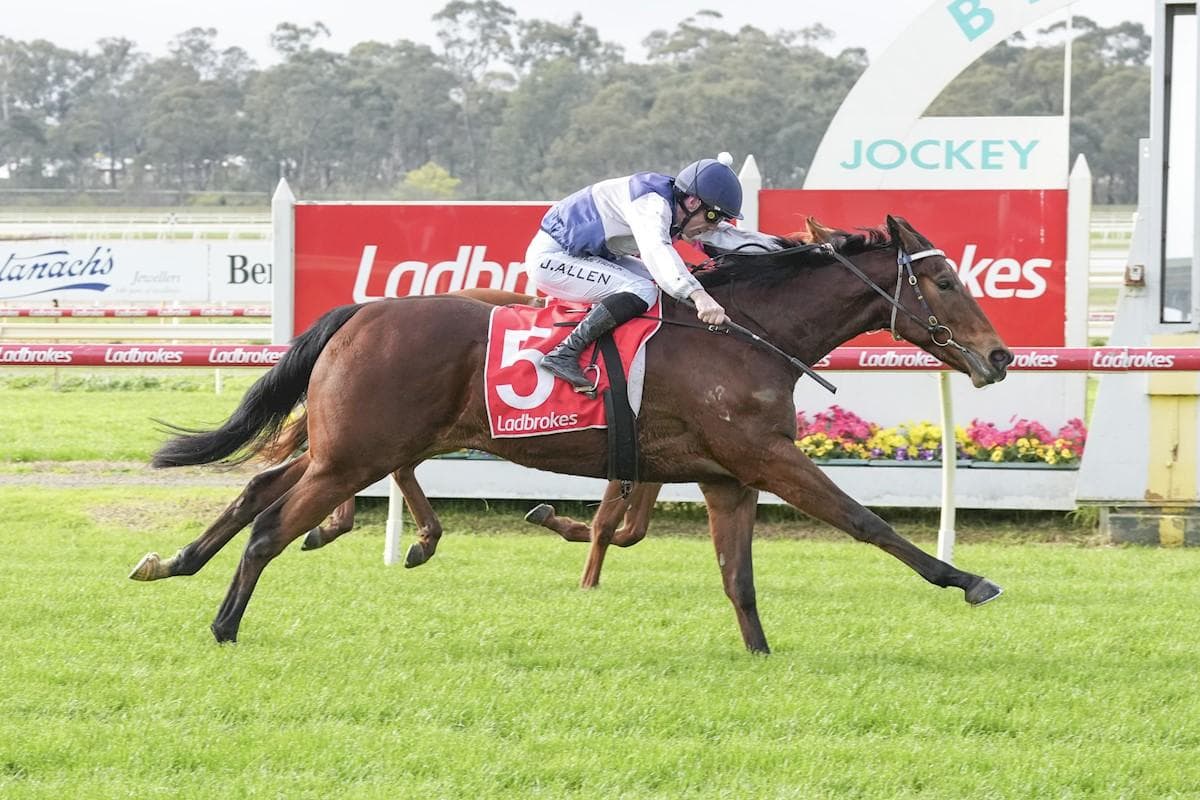 Sharaz - A Maiden Win That Needs To Be Seen To Be Believed!