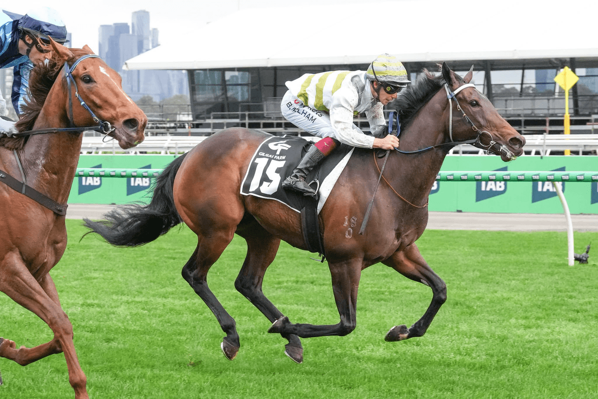 Skybird goes back to the Winners Circle