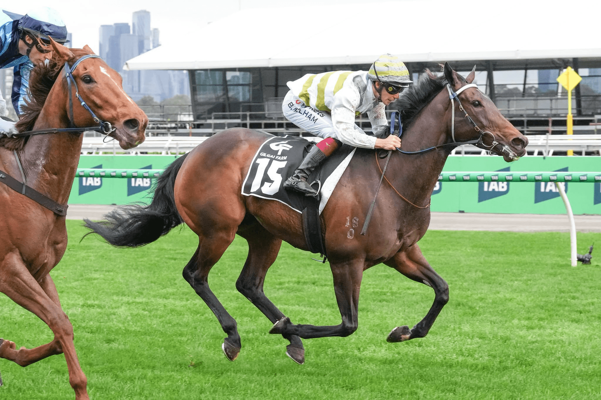 Skybird goes back to the Winners Circle
