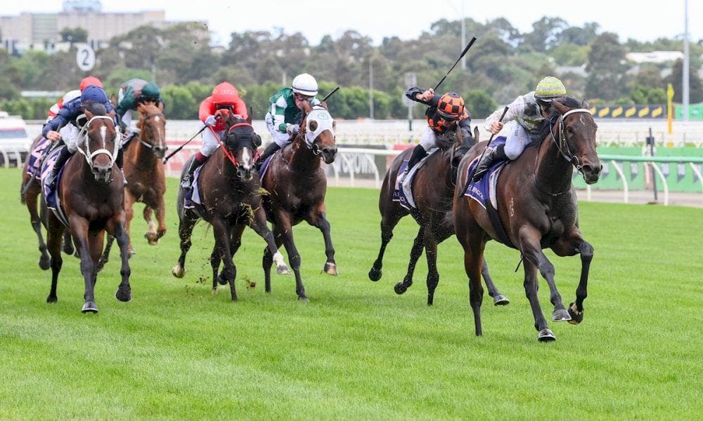 qr4_7299-1000x600 (2).jpg