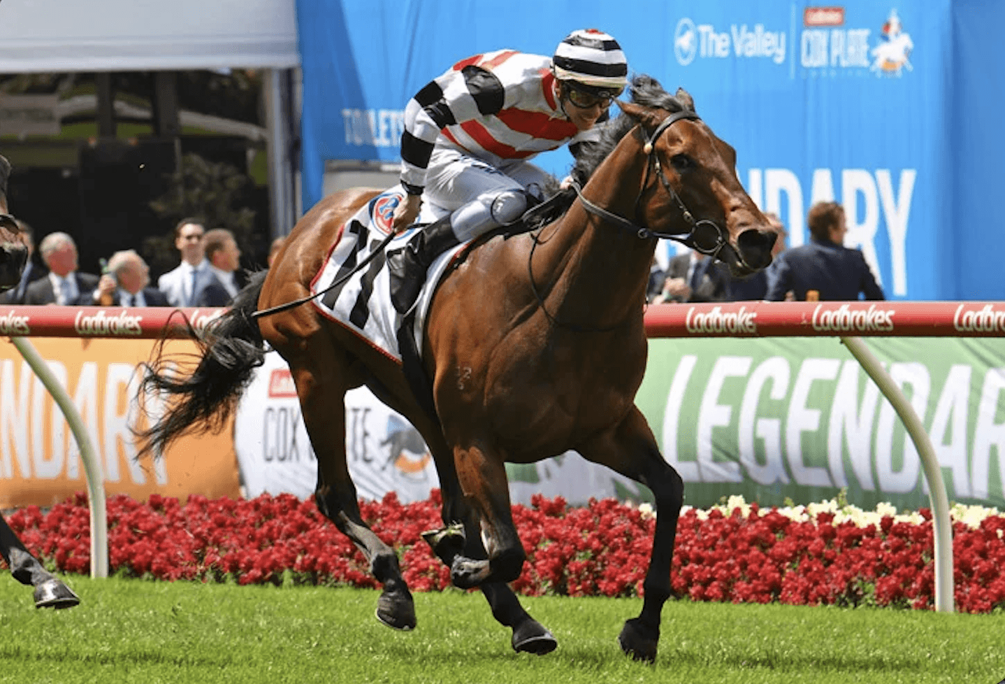 Screenshot 2025-12-18 at 12.59.38 pm.png