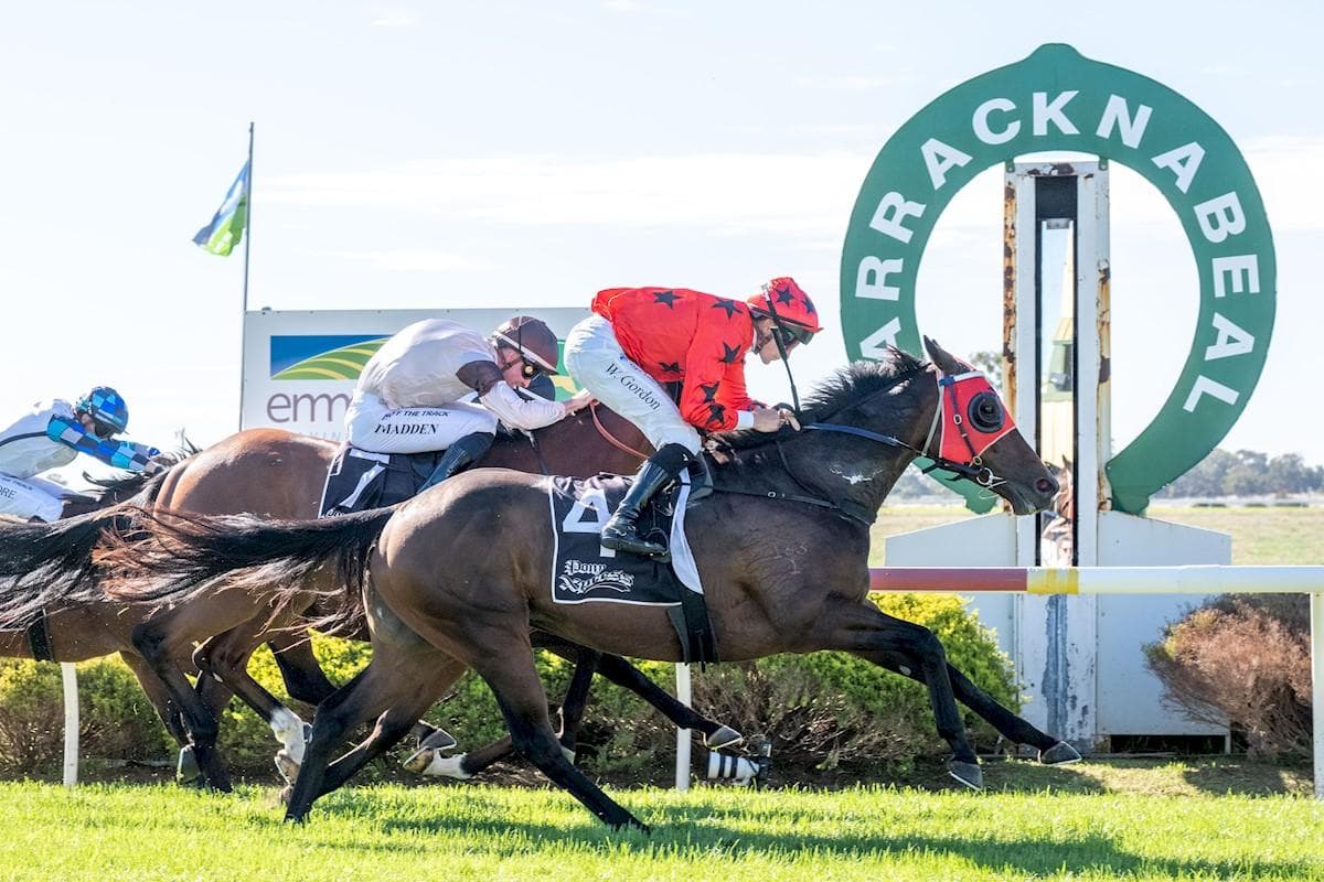 Adjudicate Bounces Back