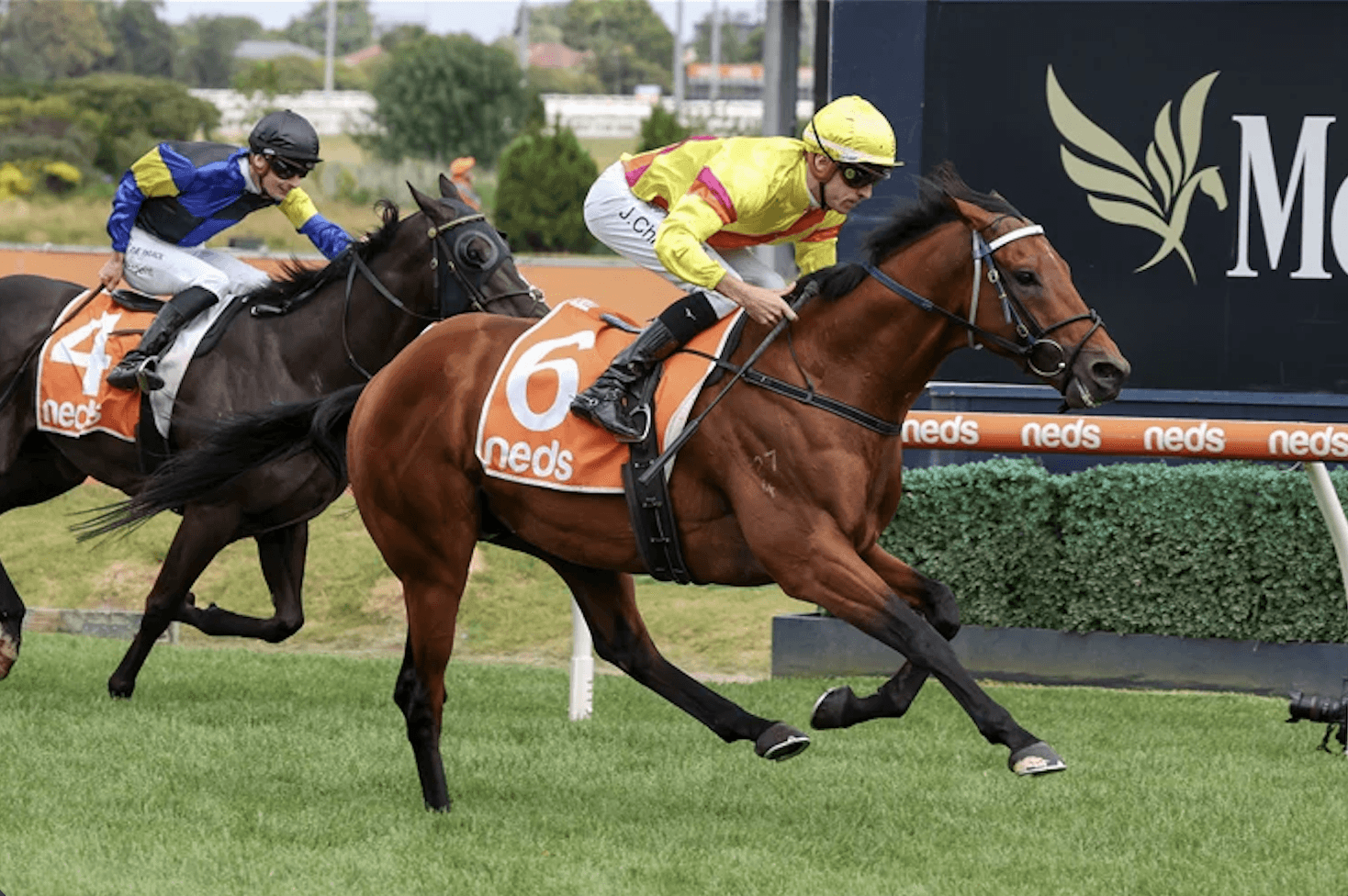 Screenshot 2025-12-18 at 12.49.41 pm.png