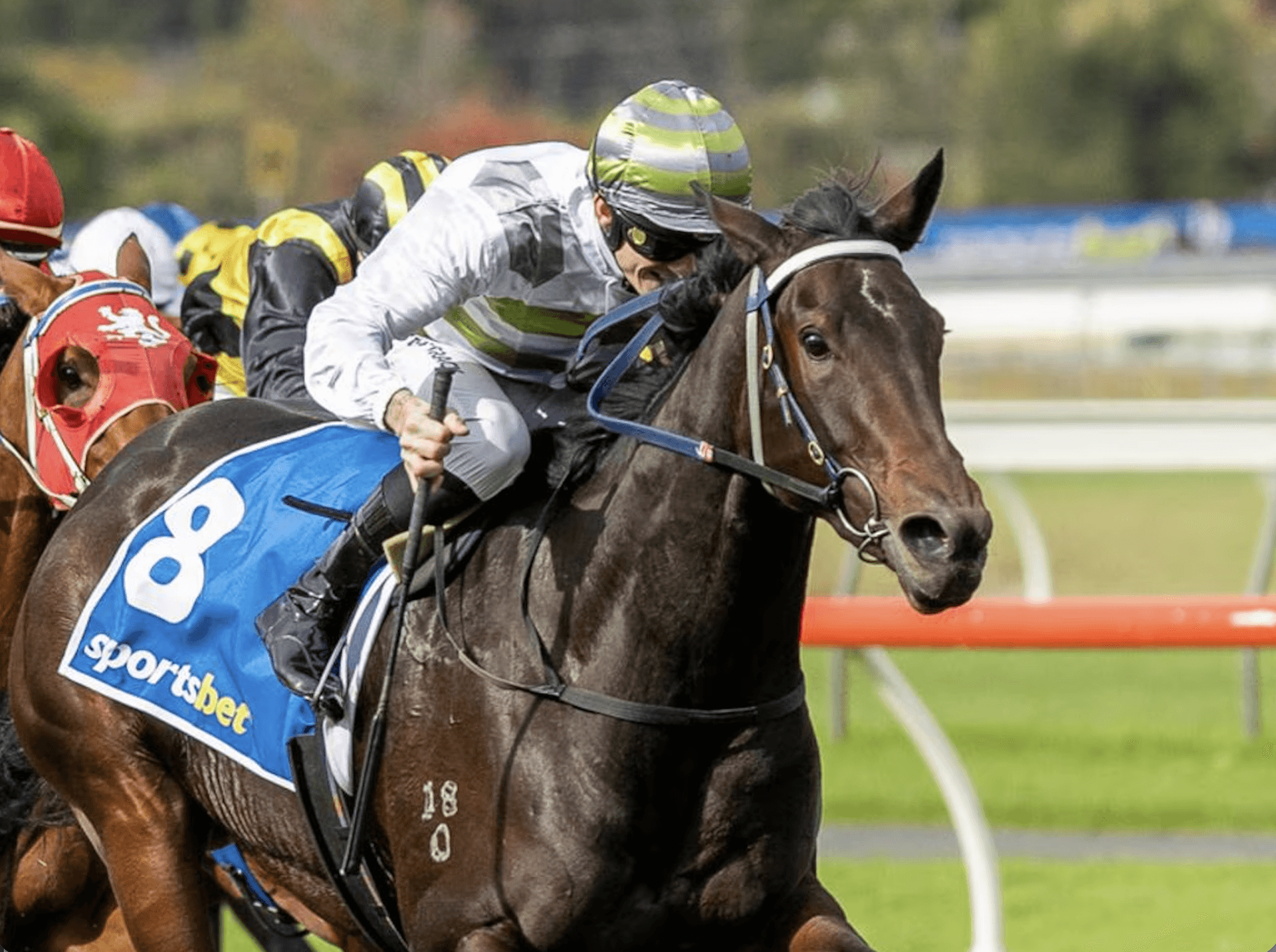 Screenshot 2025-12-18 at 1.13.37 pm.png